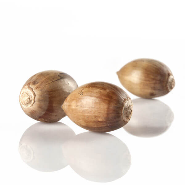 生ハムは体に悪いのか