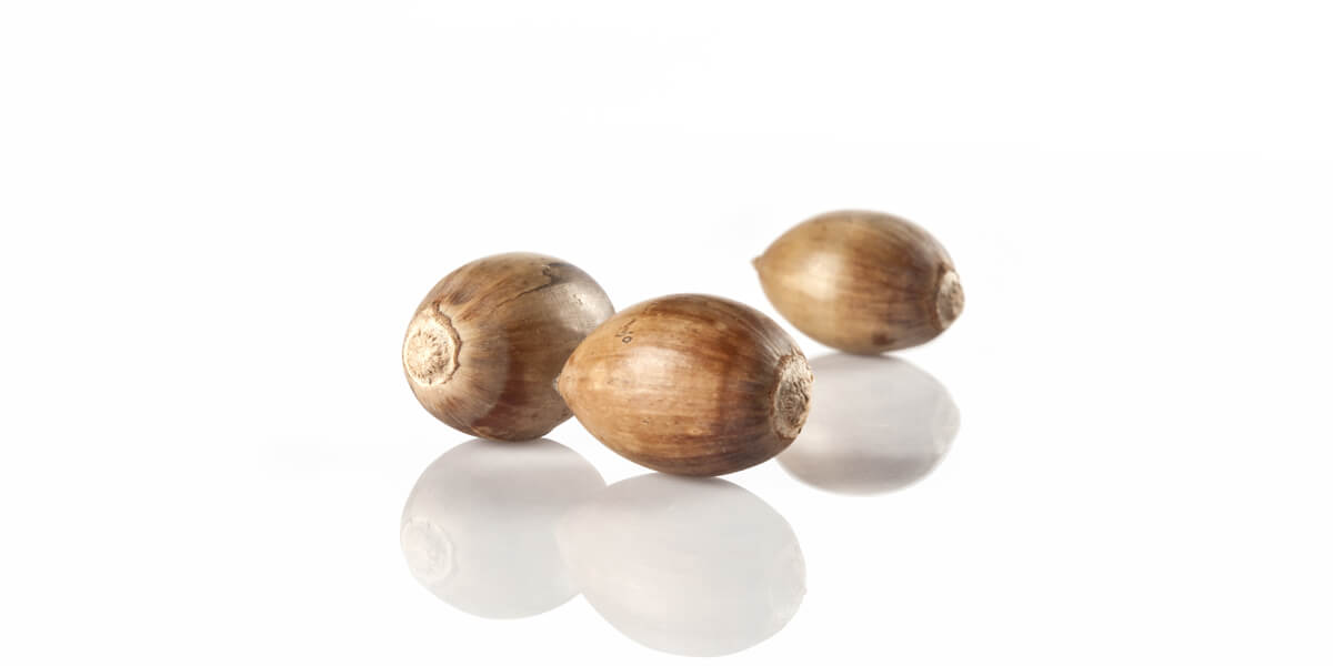 生ハムは健康に良い効果をもたらす