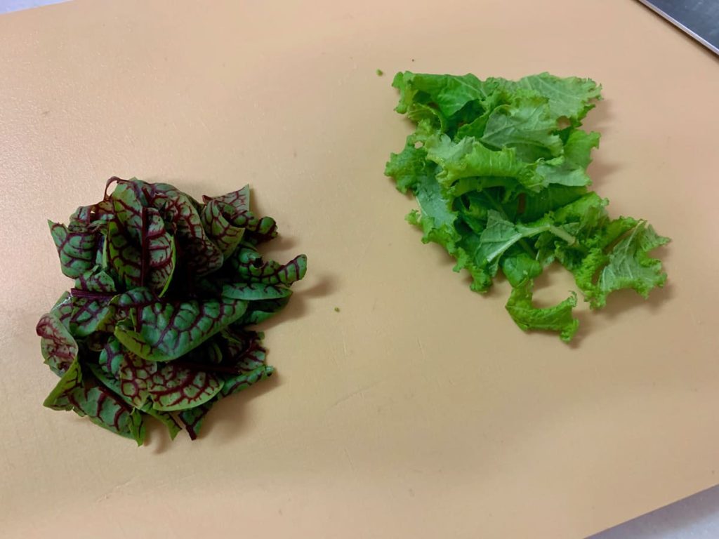 チョリソと筍の青海苔ジュレ掛けのレシピ_5