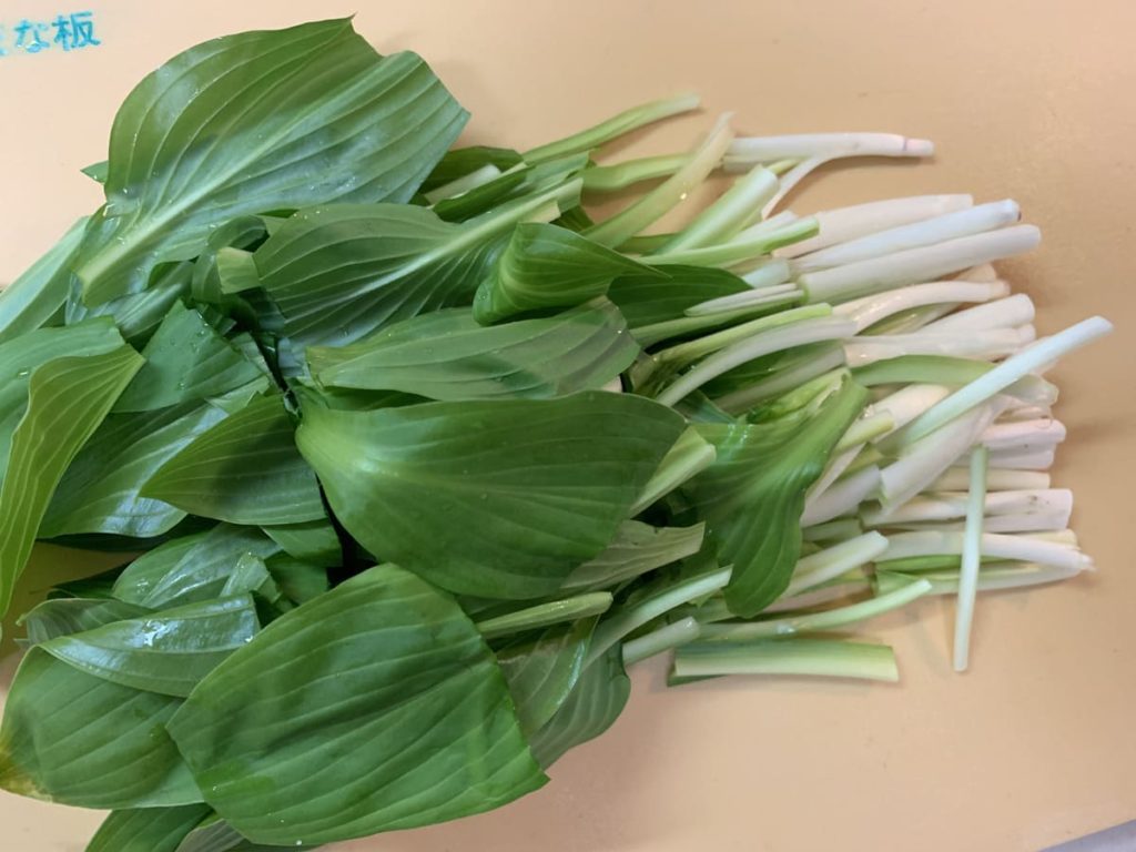 チョリソとうるいの和風ごまドレ和えのレシピ_3