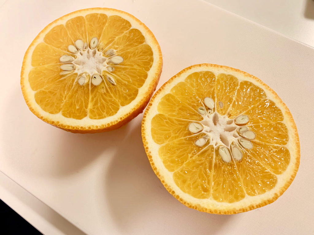 紅甘夏トニックのレシピ_1